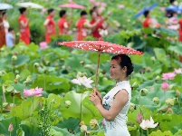 东沟茅圻:醉美荷花，荷您共享
