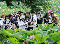 东沟茅圻:醉美荷花，荷您共享
