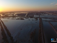 航拍“候鸟天堂”北大港湿地