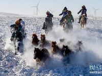 飞马踏雪原