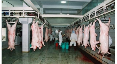 加强春节期间生猪屠宰监管   让群众吃上放心肉