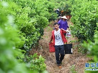 在新时代党的阳光照耀下前进——习近平总书记关心关怀青年和青年工作纪实