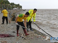 广东珠海：台风离境 灾后复产