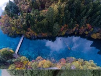 九寨沟“生态修复”中孕育美景