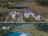 九寨沟“生态修复”中孕育美景