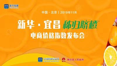 直播丨新华·宜昌秭归脐橙电商价格指数今天在京发布