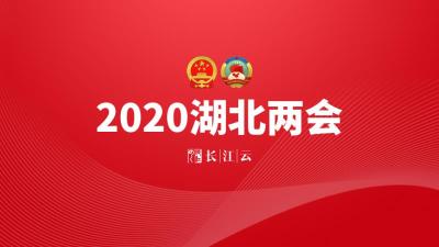 直播 | 政协湖北省第十二届三次会议开幕会