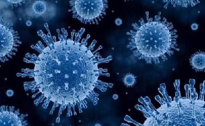 新冠病毒起源于哪里？专家这样说！  