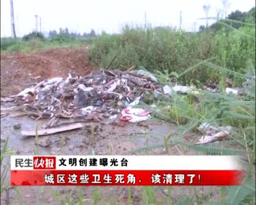 文明创建曝光台 | 城区这些卫生死角，该清理了