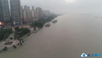 强降水来袭 鄂州严阵以待加强长江干堤防守