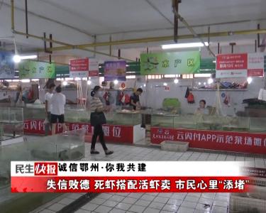 诚信鄂州·你我共建 | 失信败德 死虾搭配活虾卖 市民心里“添堵”