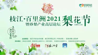 直播 | 花开荆楚：枝江•百里洲  2021梨花节暨砂梨产业高层论坛 