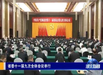 湖北省委十一届九次全体会议举行
