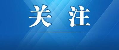 鄂州市梁子湖区港口河大桥正式通车 