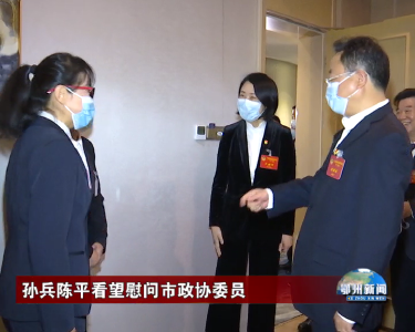 孙兵陈平看望慰问市政协委员