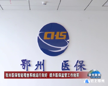 我市医保智能稽查系统运行良好 提升医保监管工作效率