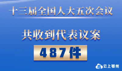 全国人大会议收到代表议案487件