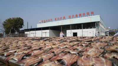 院士工作站助力，鄂州渔民科学养殖武昌鱼