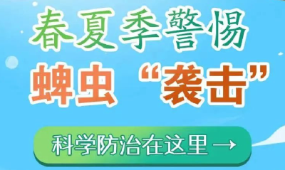 假期已有人中招！能传播病毒，这些人群要格外注意