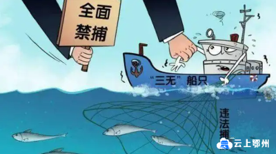 长江禁渔，警惕“破窗效应”