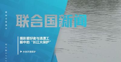 “江豚又回来了”：一名摄影爱好者眼中的“长江大保护” 