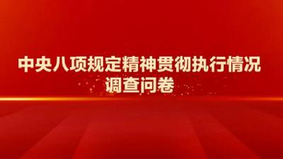 2024年中央八项规定精神贯彻执行情况调查网络调查问卷