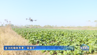 全力托稳秋冬季“菜篮子”