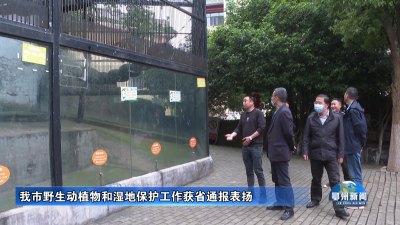 我市野生动植物和湿地保护工作获省通报表扬