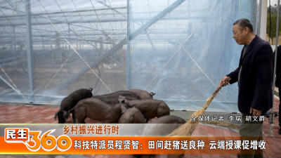 科技特派员程贤智：田间赶猪送良种  云端授课促增收
