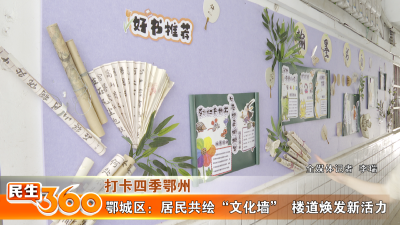 鄂城区：居民共绘“文化墙”  楼道焕发新活力