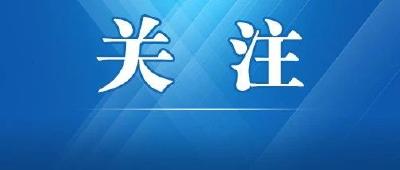 五场大会显强大气场：正在“长高”的武汉让世界看见
