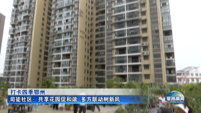 司徒社区：共享花园促和谐  多方联动树新风