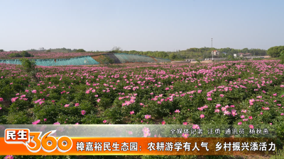 樟嘉裕民生态园：农耕游学有人气  乡村振兴添活力