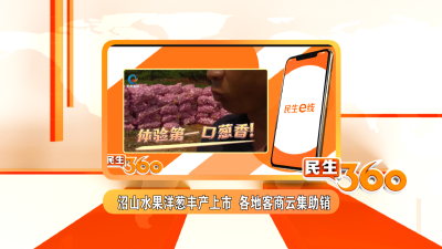 沼山水果洋葱丰产上市  各地客商云集助销