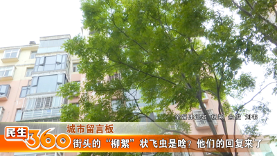 街头的“柳絮”状飞虫是啥？他们的回复来了