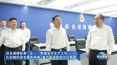 扎实做好安全服务保障  着力营造良好节日氛围