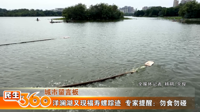 洋澜湖又现福寿螺踪迹  专家提醒：勿食勿碰