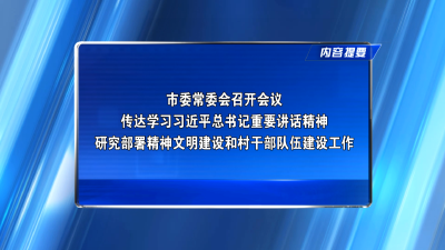 市委常委会召开会议