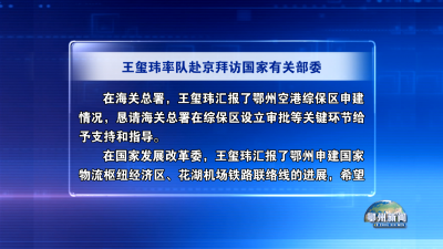 王玺玮率队赴京拜访国家有关部委