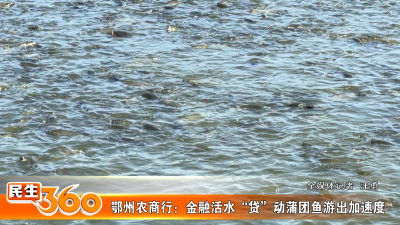 鄂州农商行：金融活水“贷”动蒲团鱼游出加速度