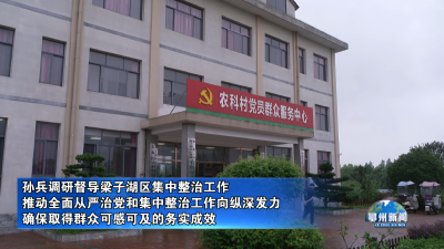 孙兵调研督导梁子湖区集中整治工作