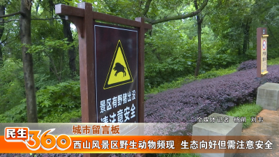 西山风景区野生动物频现  生态向好但需注意安全