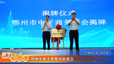 鄂州市电子商务协会成立