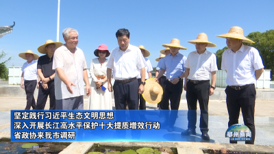 省政协来我市调研
