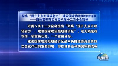 聚焦“提升支点开放辐射力” 建设国家物流枢纽经济区4