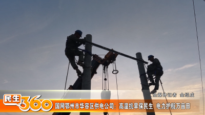 国网鄂州市华容区供电公司：高温抗旱保民生  电力护航万亩田