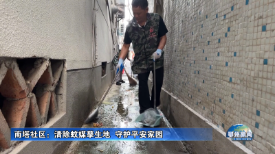 南塔社区：清除蚊媒孳生地  守护平安家园