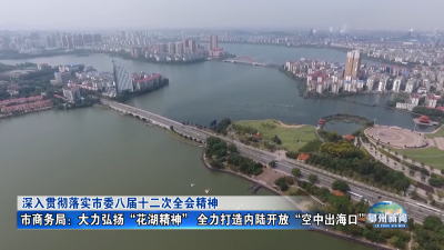 市商务局：大力弘扬“花湖精神” 全力打造内陆开放“空中出海口”