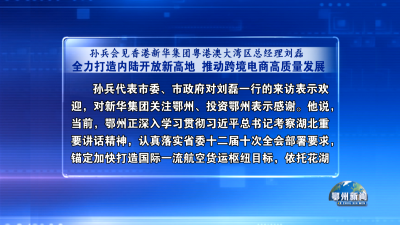 孙兵会见香港新华集团粤港澳大湾区总经理刘磊