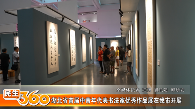 湖北省首届中青年代表书法家优秀作品展在我市开展